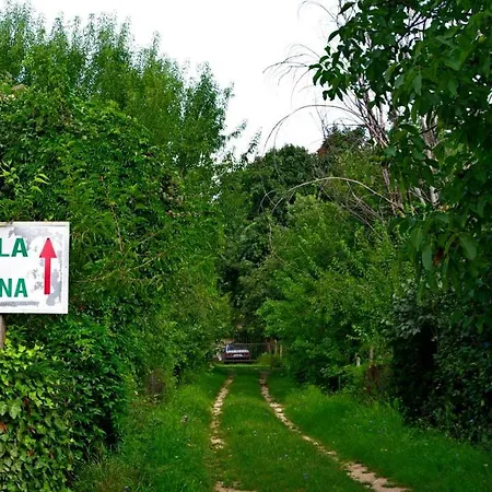 Liana 3*